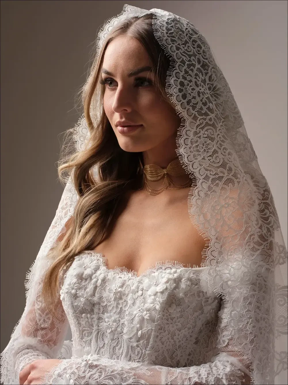 Chantilly lace detail